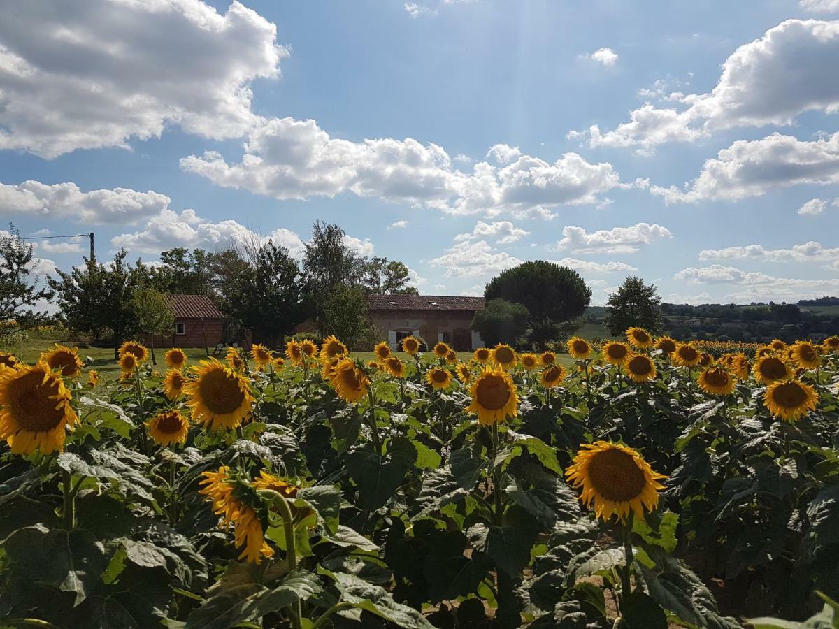 Les Hauts De Sames Deyme Esterno foto